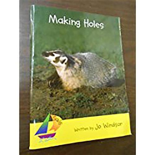 Cover image for Making Holes: Leveled Reader