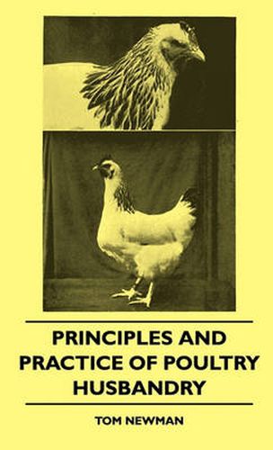 Cover image for Principles And Practice Of Poultry Husbandry