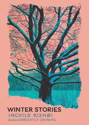 Cover image for Winter Stories