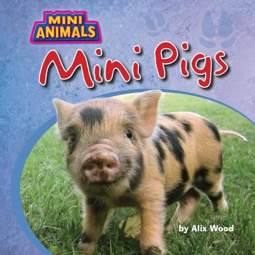 Cover image for Mini Pigs