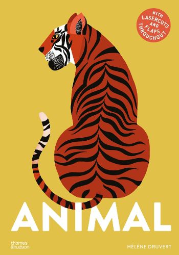 Cover image for Animal