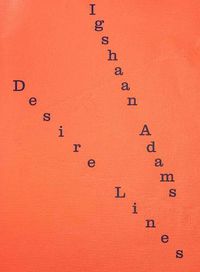 Cover image for Igshaan Adams: Desire Lines