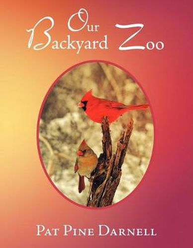 Cover image for Our Backyard Zoo