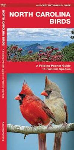 Cover image for North Carolina Birds: A Folding Pocket Guide to Familiar Species