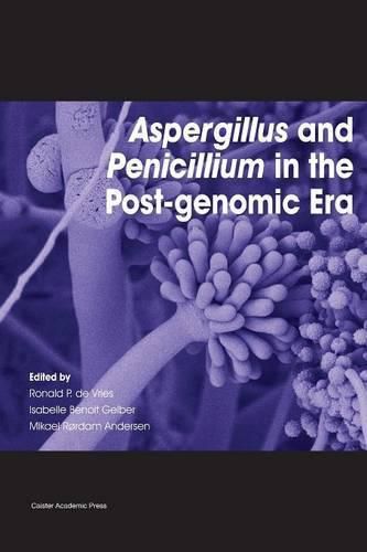 Cover image for Aspergillus and Penicillium in the Post-Genomic Era