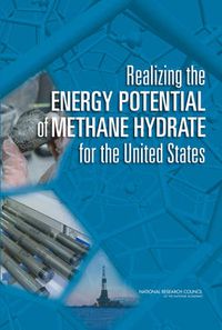 Cover image for Realizing the Energy Potential of Methane Hydrate for the United States