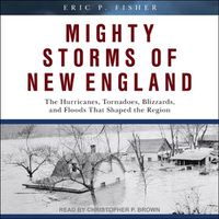 Cover image for Mighty Storms of New England
