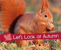 Cover image for Let's Look at Autumn