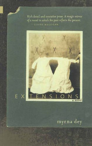 Cover image for Extensions