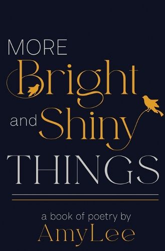 Cover image for More Bright and Shiny Things