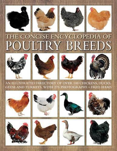 Cover image for Concise Encyclopedia of Poultry Breeds