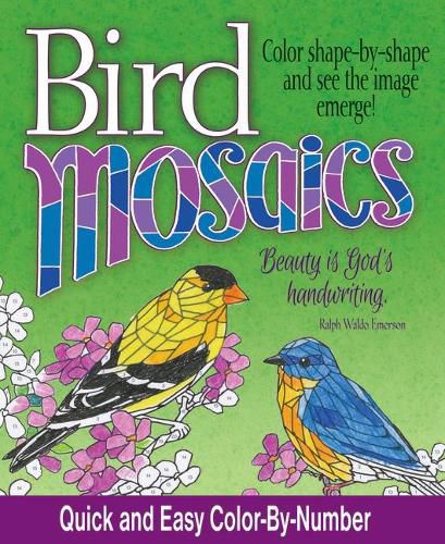 Cover image for Bird Mosaics: Quick and Easy Color-By-Number