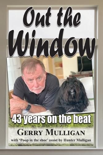 Cover image for Out the Window