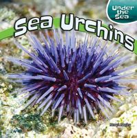Cover image for Sea Urchins