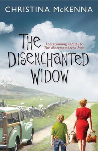 Cover image for The Disenchanted Widow