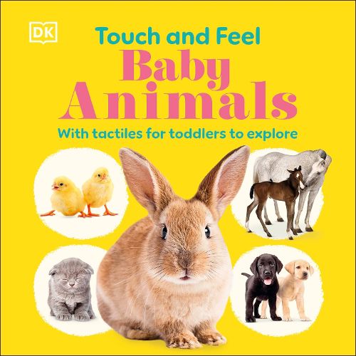 Touch and Feel Baby Animals