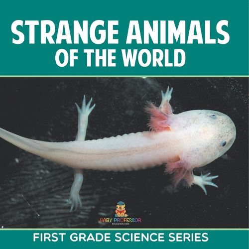 Cover image for Strange Animals Of The World