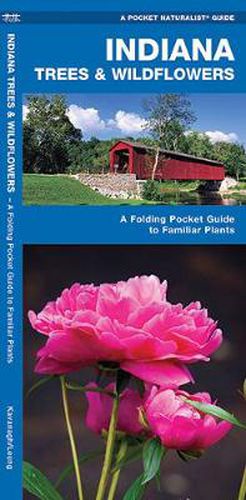 Cover image for Indiana Trees & Wildflowers: A Folding Pocket Guide to Familiar Species