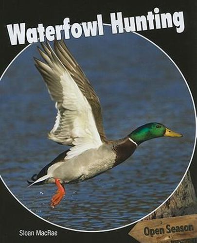 Cover image for Waterfowl Hunting