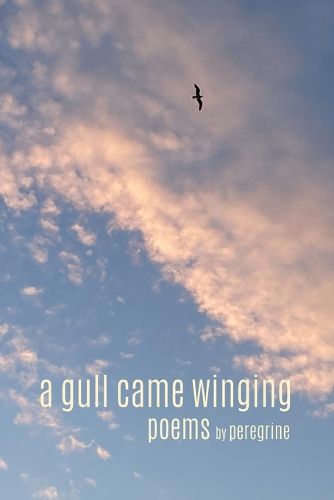 Cover image for A gull came winging