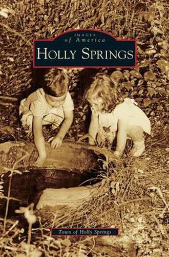 Cover image for Holly Springs