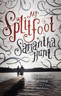 Cover image for Mr Splitfoot