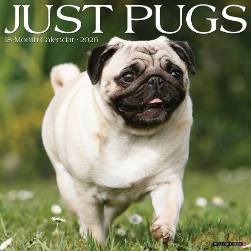 Cover image for Pugs 2026 12 X 12 Wall Calendar