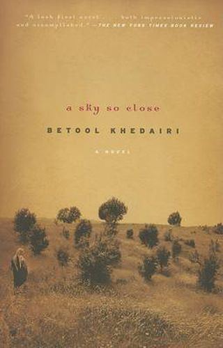 Cover image for A Sky So Close: A Novel