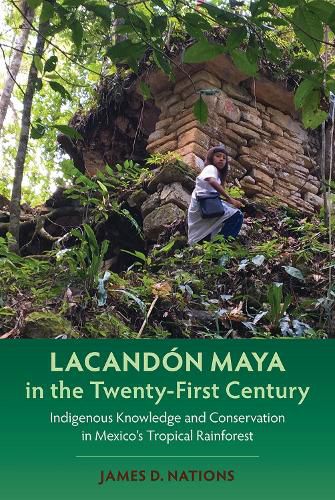 Cover image for Lacandon Maya in the Twenty-First Century