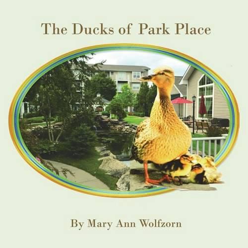 Cover image for The Ducks of Park Place