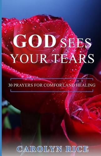 Cover image for God Sees Your Tears: 30 Prayers for Comfort and Healing