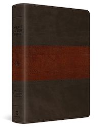 Cover image for ESV Men's Study Bible