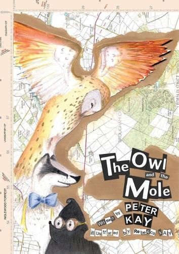 Cover image for The Owl and The Mole