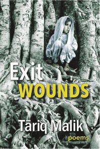 Cover image for Exit Wounds