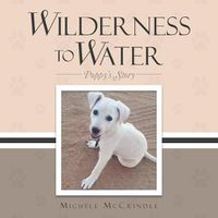 Cover image for Wilderness to Water