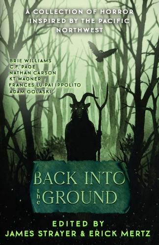 Cover image for Back Into The Ground