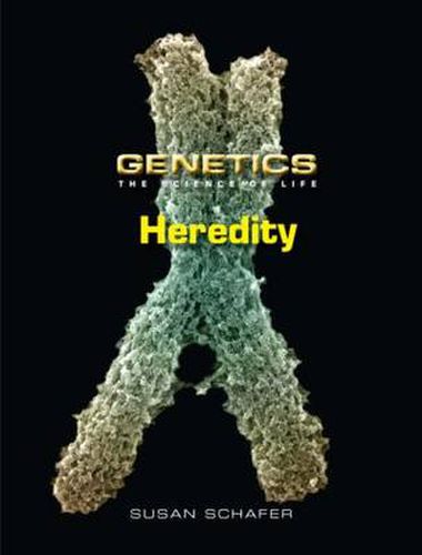 Cover image for Heredity