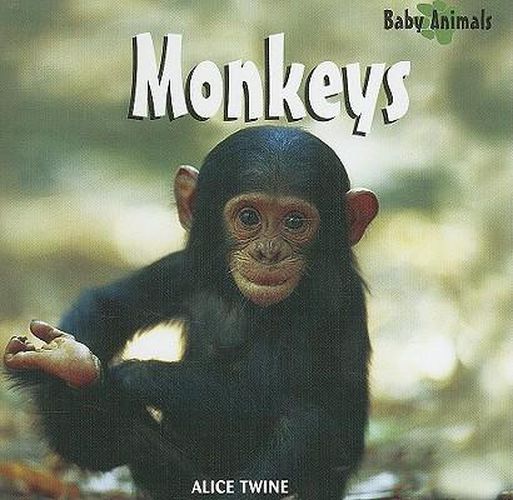 Cover image for Monkeys and Apes