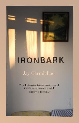 Cover image for Ironbark