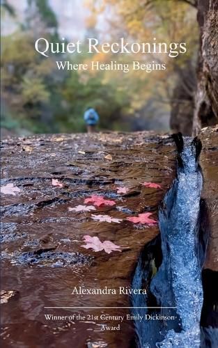 Cover image for Potery collection 236 (Edition1)