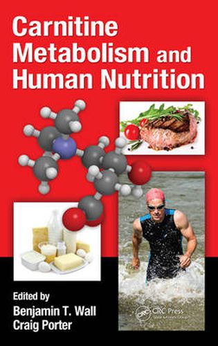 Cover image for Carnitine Metabolism and Human Nutrition