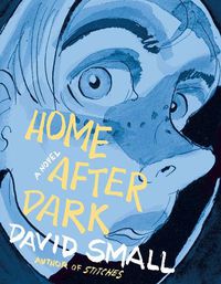 Cover image for Home After Dark