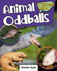 Cover image for Animal Oddballs