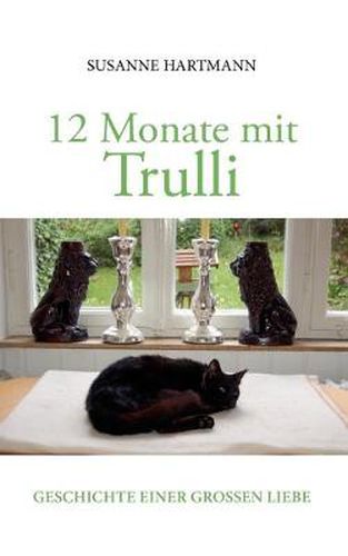 Cover image for 12 Monate mit Trulli: Geschichte einer grossen Liebe