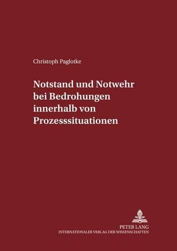 Cover image for Notstand Und Notwehr Bei Bedrohungen Innerhalb Von Prozesssituationen