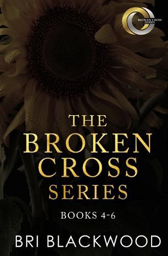 Cover image for The Broken Cross Series