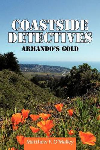 Cover image for Coastside Detectives