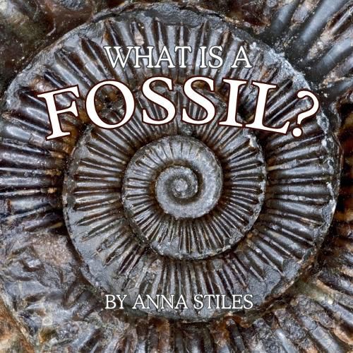 Cover image for What is a Fossil?