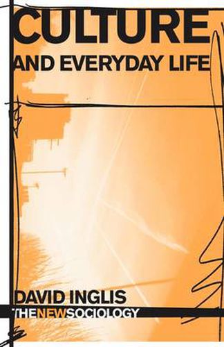 Cover image for Culture and Everyday Life