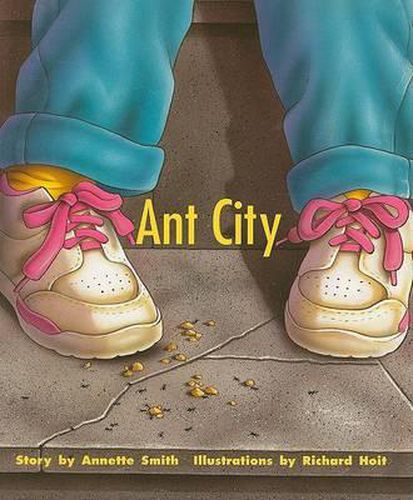 Cover image for Ant City: Individual Student Edition Turquoise (Levels 17-18)